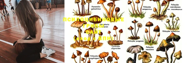 МДПВ Алзамай